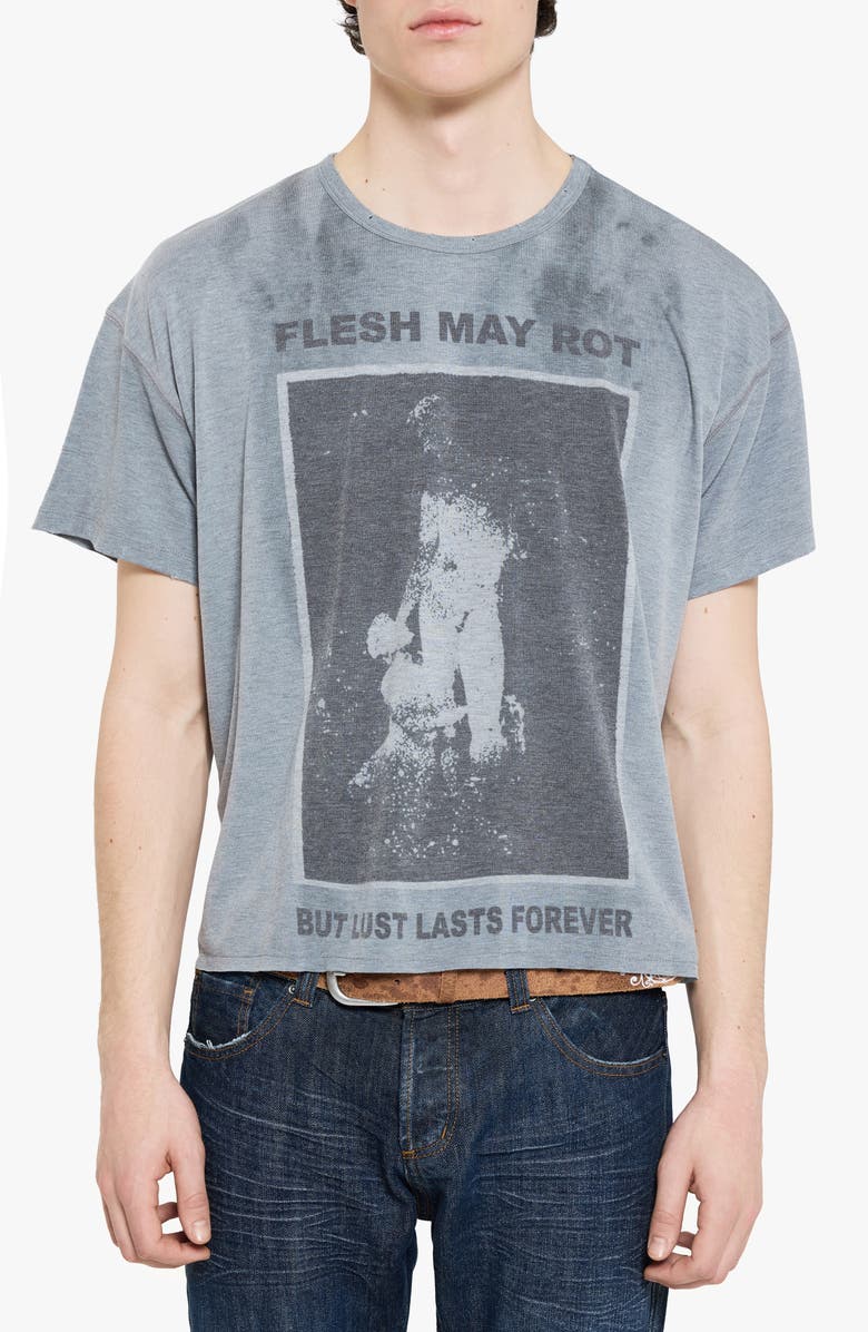 JADED LONDON Flesh May Rot Graphic T-Shirt, Main, color, Grey