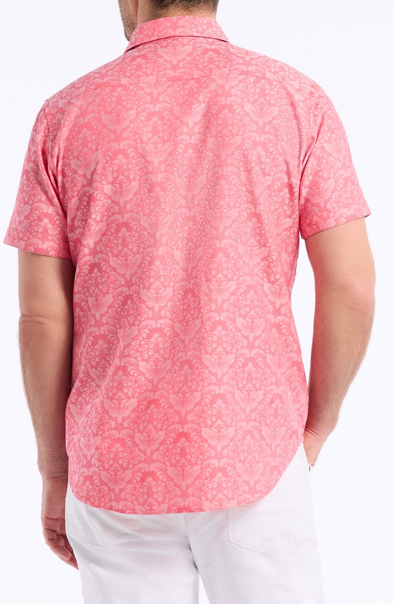 Robert Graham Bayveiw Short Sleeve Cotton Jacquard Button-Up Shirt, Alternate, color, Coral