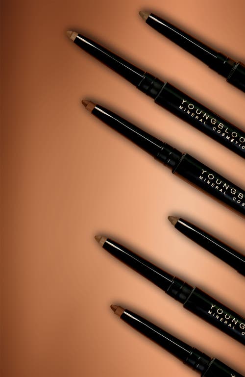Youngblood Mineral Cosmetics On Point Brow Defining Pencil In Brown
