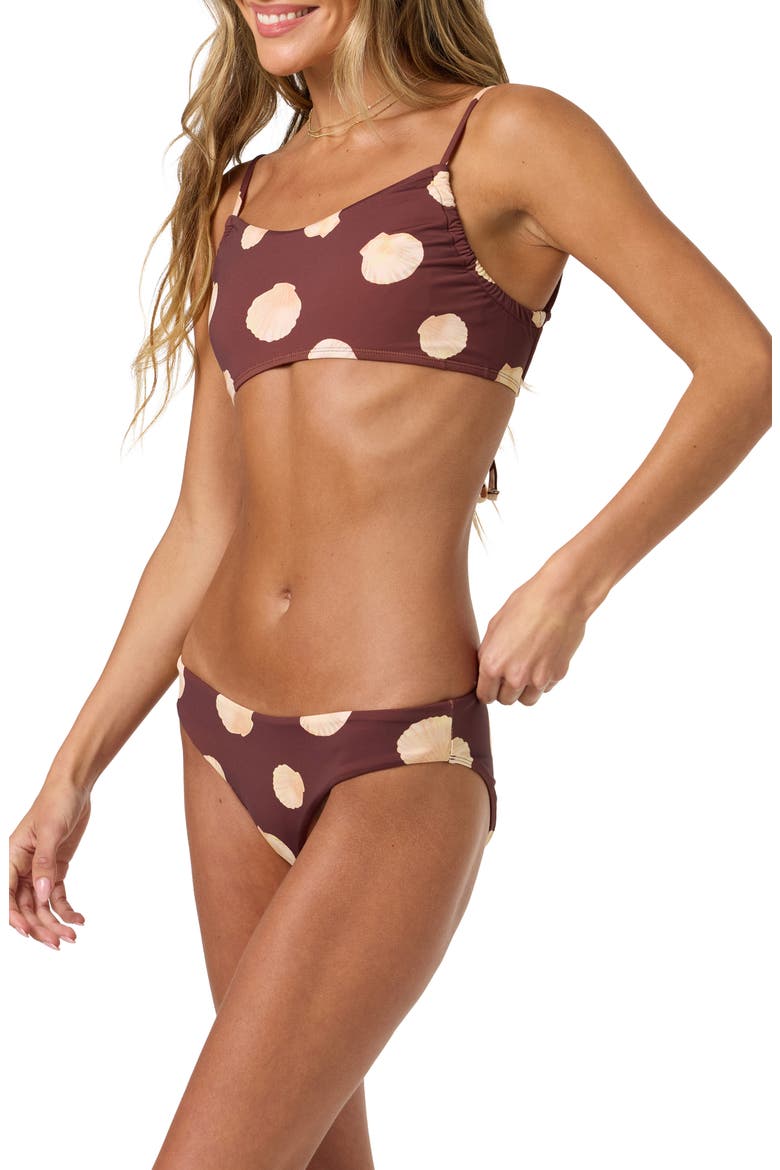 Camila Shells Lagoon Bikini Bottoms, Alternate, color, CHOCOLATE