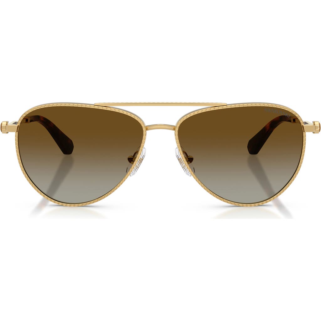 Swarovski 59mm Crystal Embellished Gradient Polarized Pilot Sunglasses In Brown