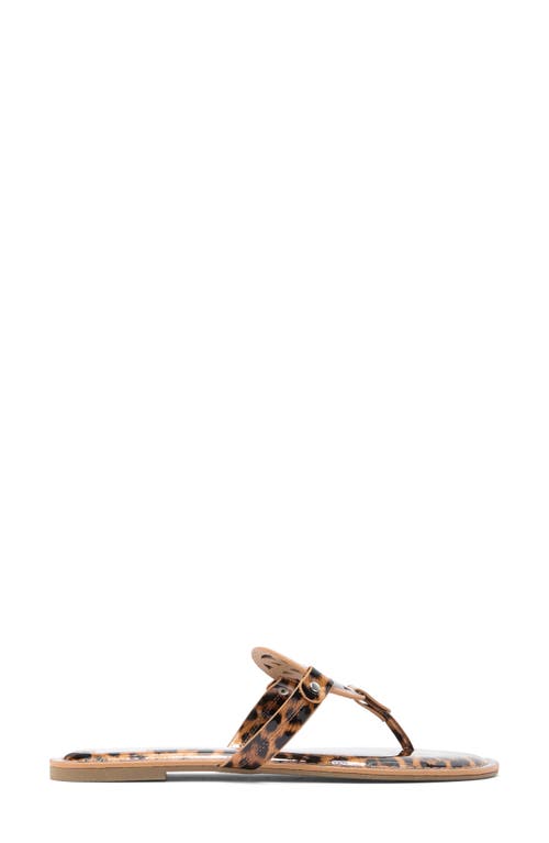 Dolce Vita Dv By  Gotie Laser Cut Studded Thong Sandal In Leopard Patent
