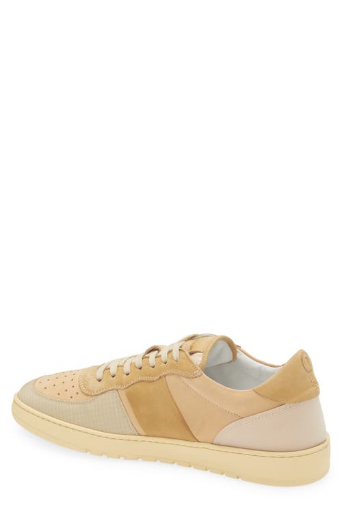 Collegium Pillar Destroyer Low Top Sneaker In Brown