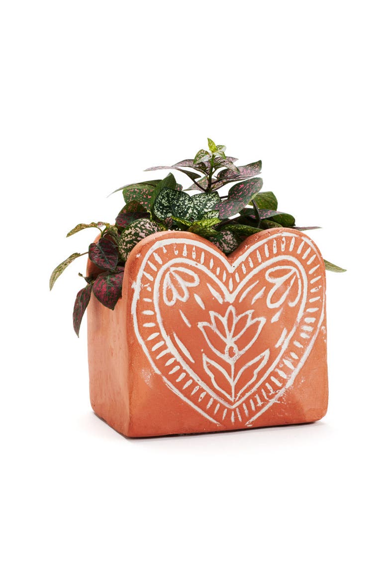 Vasanta Heart Planter with Drainage, Main, color, Terracotta