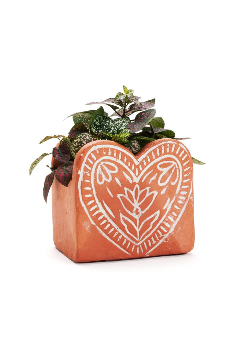 Matr Boomie Vasanta Heart Planter with Drainage, Main, color, Terracotta