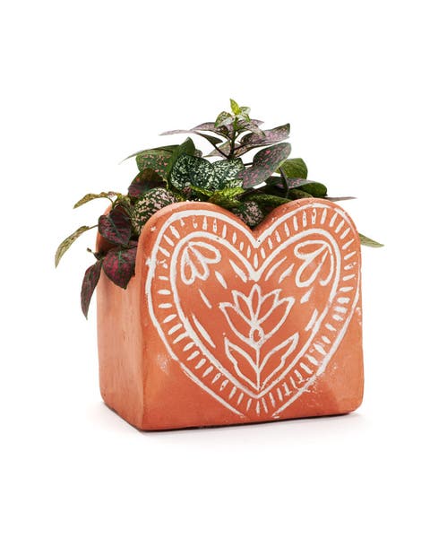 Vasanta Heart Planter with Drainage