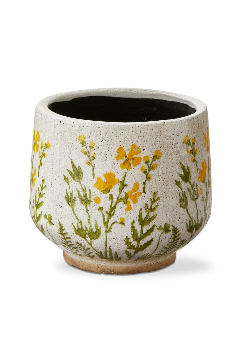 Wild Flower Footed Planter Large Multi Terracotta Spring, Main, color, Beige