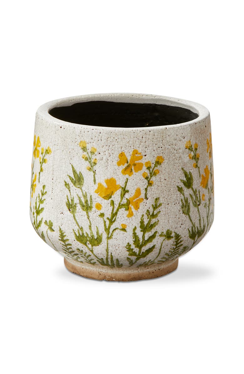tag Wild Flower Footed Planter Large Multi Terracotta Spring, Main, color, Beige
