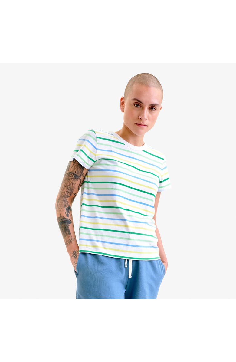 Primary Adult Classic Crewneck Multi-Stripe Tee, Alternate, color, Pear Multi Stripe