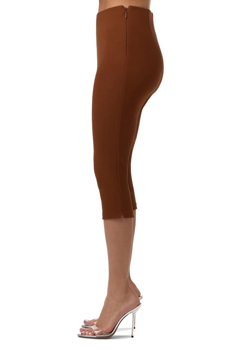 Suiting Capri Pants, Alternate, color, DARK MOCHA