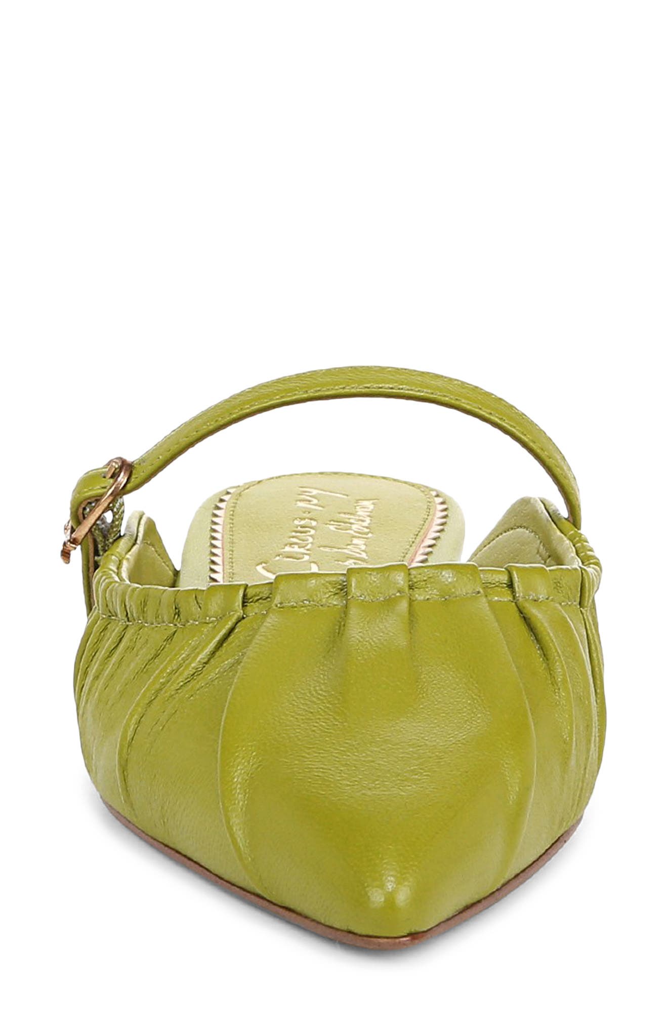 Circus NY by Sam Edelman Larissah Pointed Toe Mule, Alternate, color, Cactus