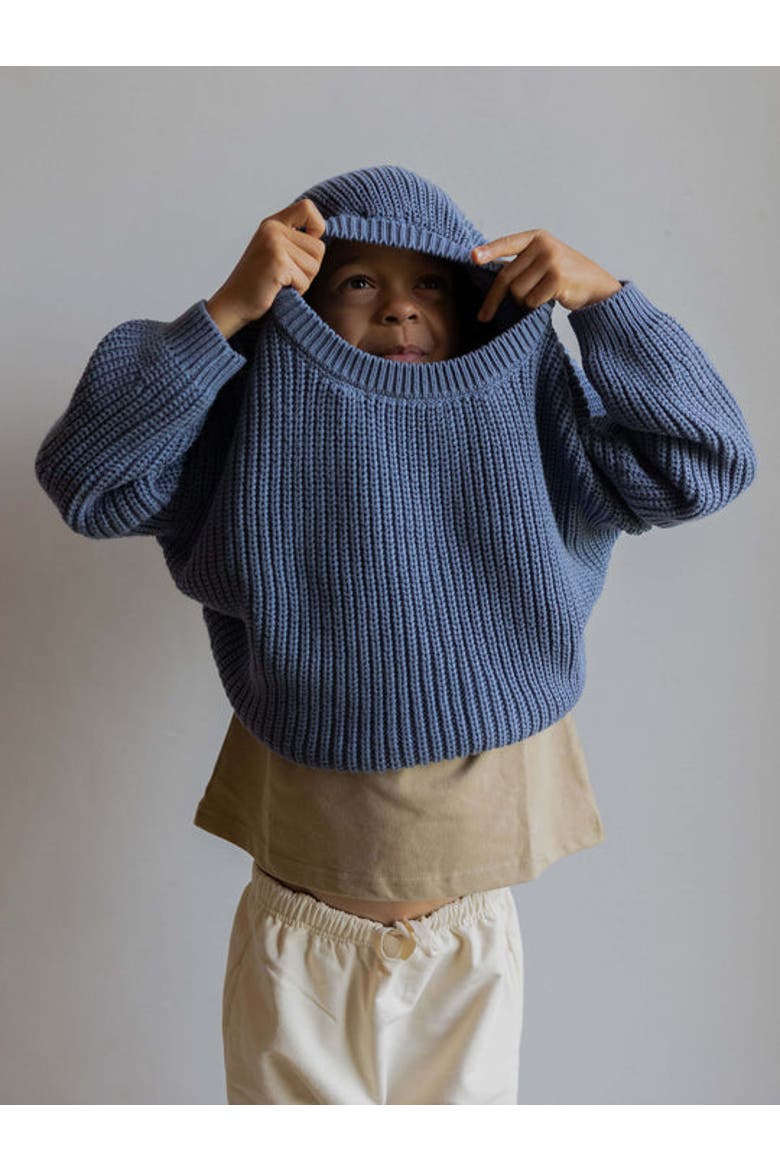 The Chunky Sweater, Alternate, color, cornflower blue