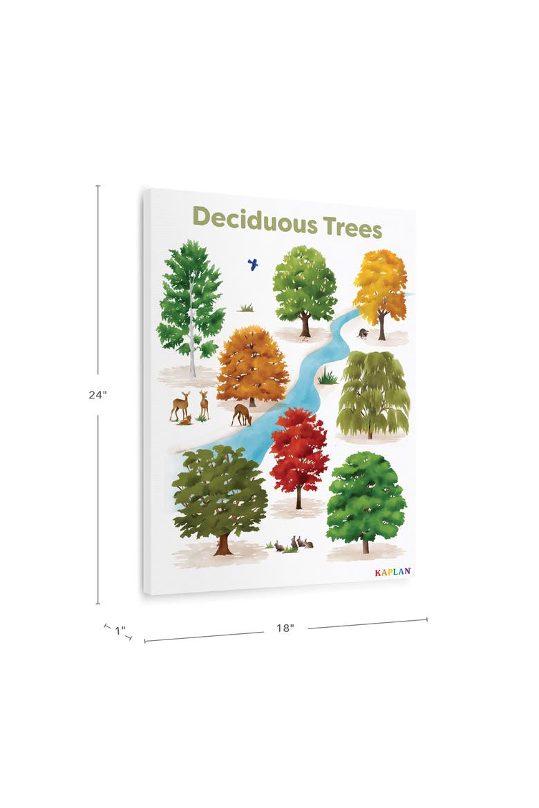 Deciduous Tree Giclee Classroom Wall Print, Alternate, color, green