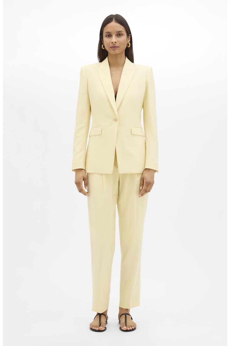 Single Button Jacket, Main, color, Sunlight