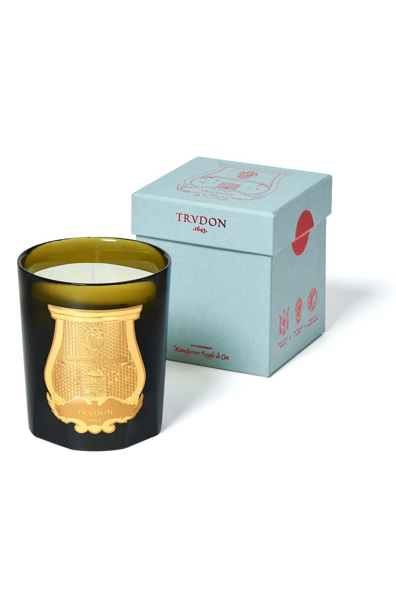 Trudon Abd El Kader Moroccan Mint Tea Candle, Alternate, color,