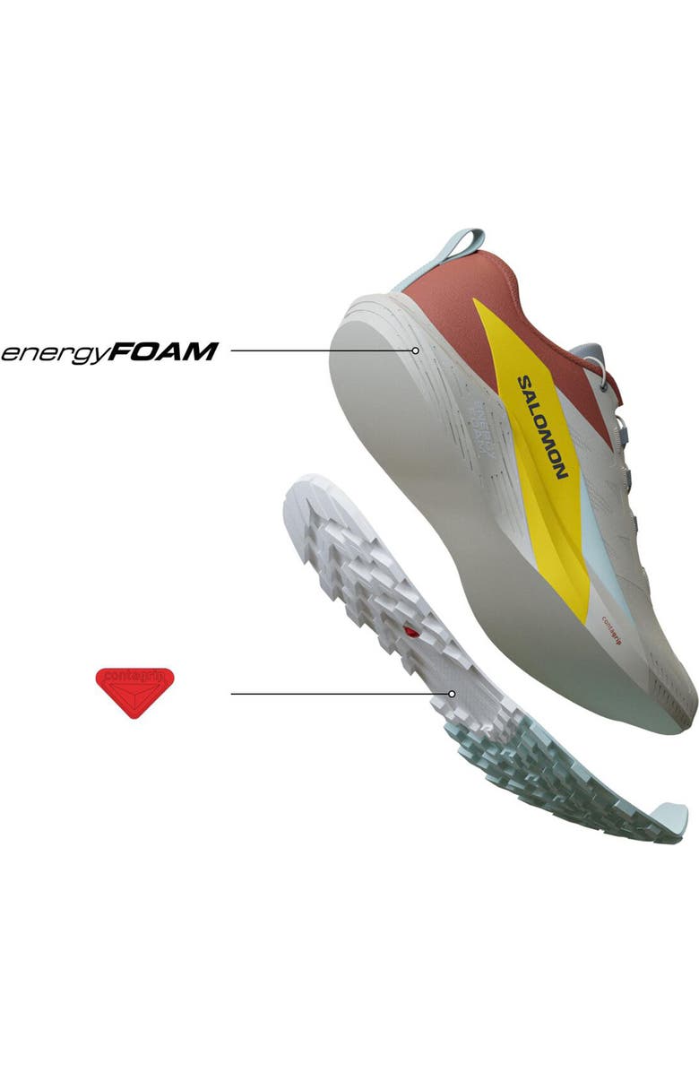 Salomon Sense Ride 5 Running Shoe, Alternate, color,