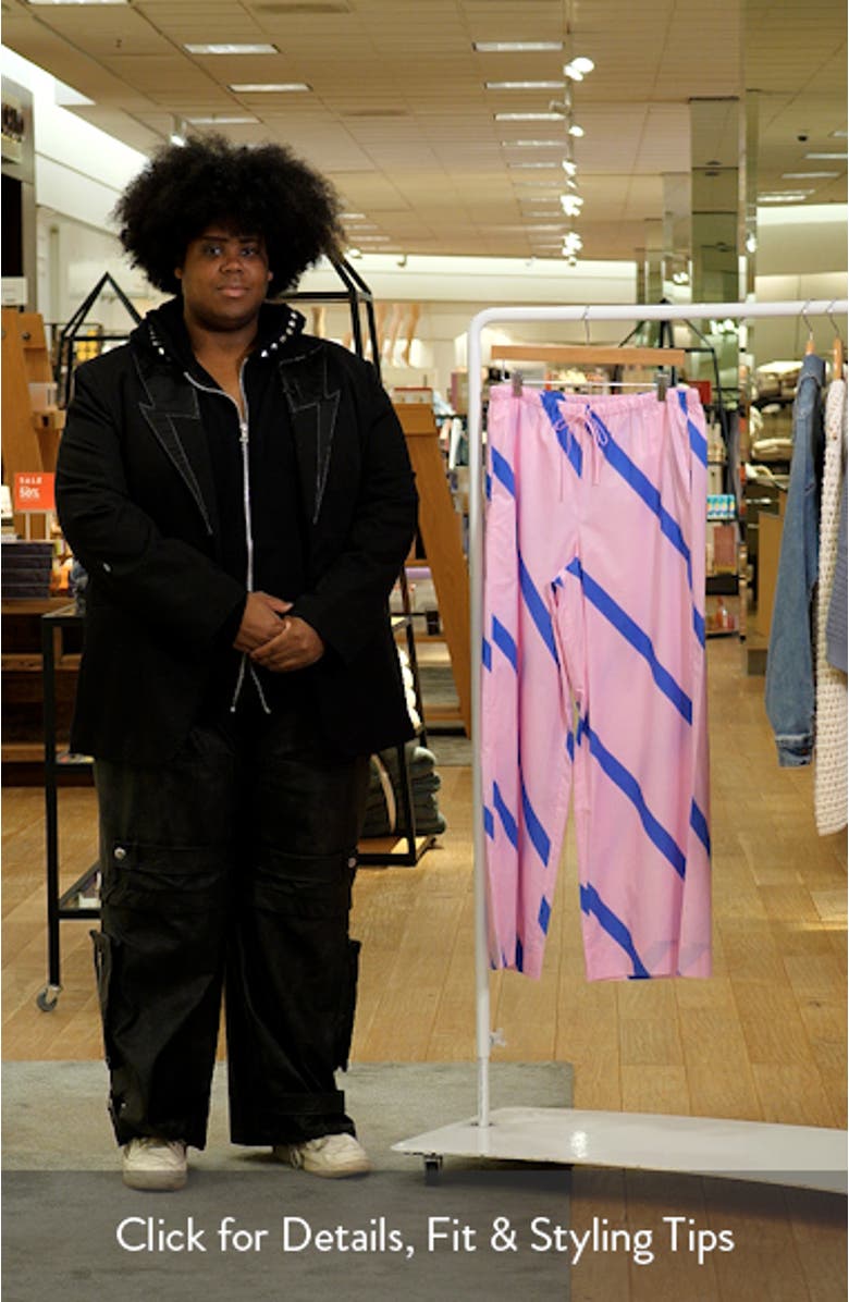 Puoti Basso Wide Leg Stripe Pants, sales video thumbnail