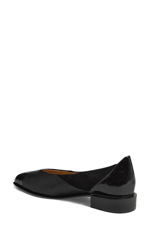 Django & Juliette Django And Juliette Emberta Pointed Toe Flat In Multi