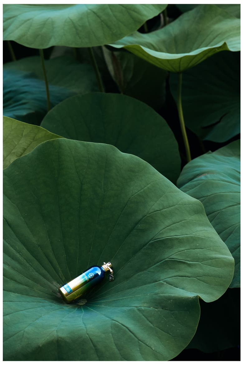 Herbal Aquatica Eau de Parfum, Alternate, color, NO COLOR