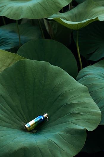 Herbal Aquatica Eau de Parfum