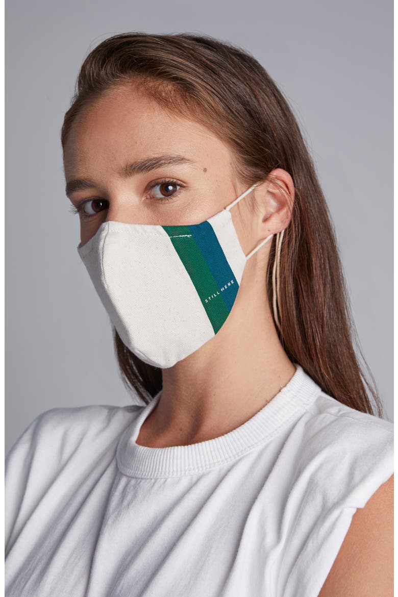 Adult Face Mask, Main, color, BEIGE/ GREEN/ BLUE