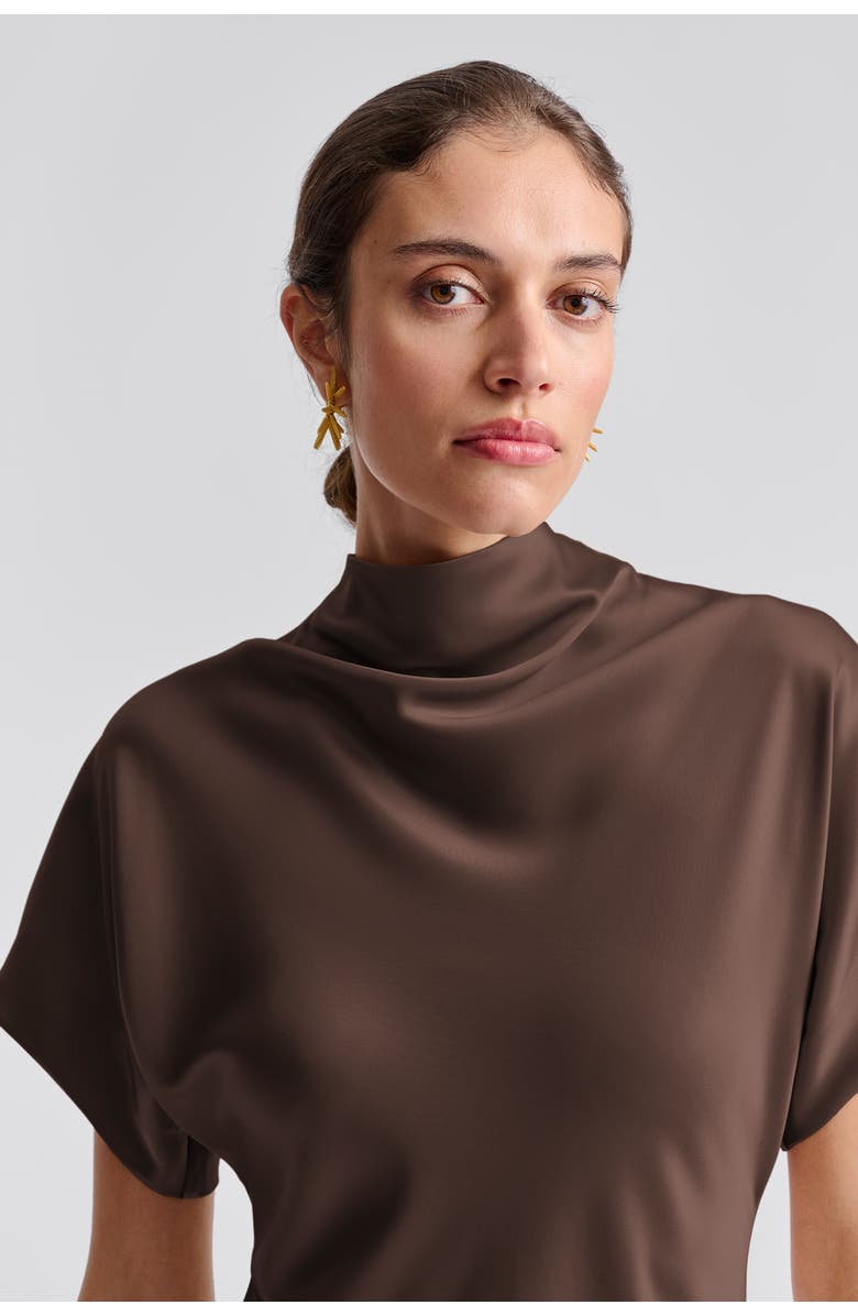 Malina Milena Cape Midi Dress, Alternate, color, Chocolate