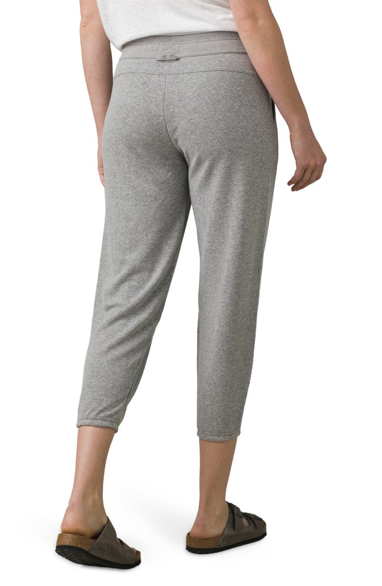 prAna Cozy Up Ankle Pants, Alternate, color,