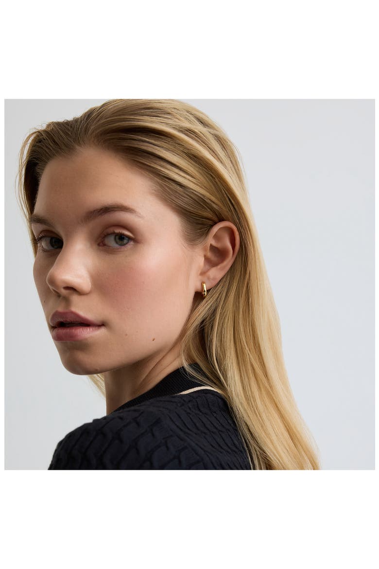 Oval Huggie Hoop Earrings, Alternate, color, GOLD