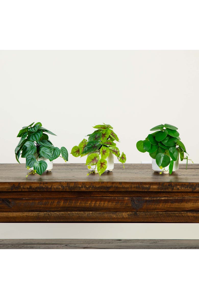 8-in Artificial Mixed Greens in Ceramic Planter- Set of 3, Alternate, color, Green