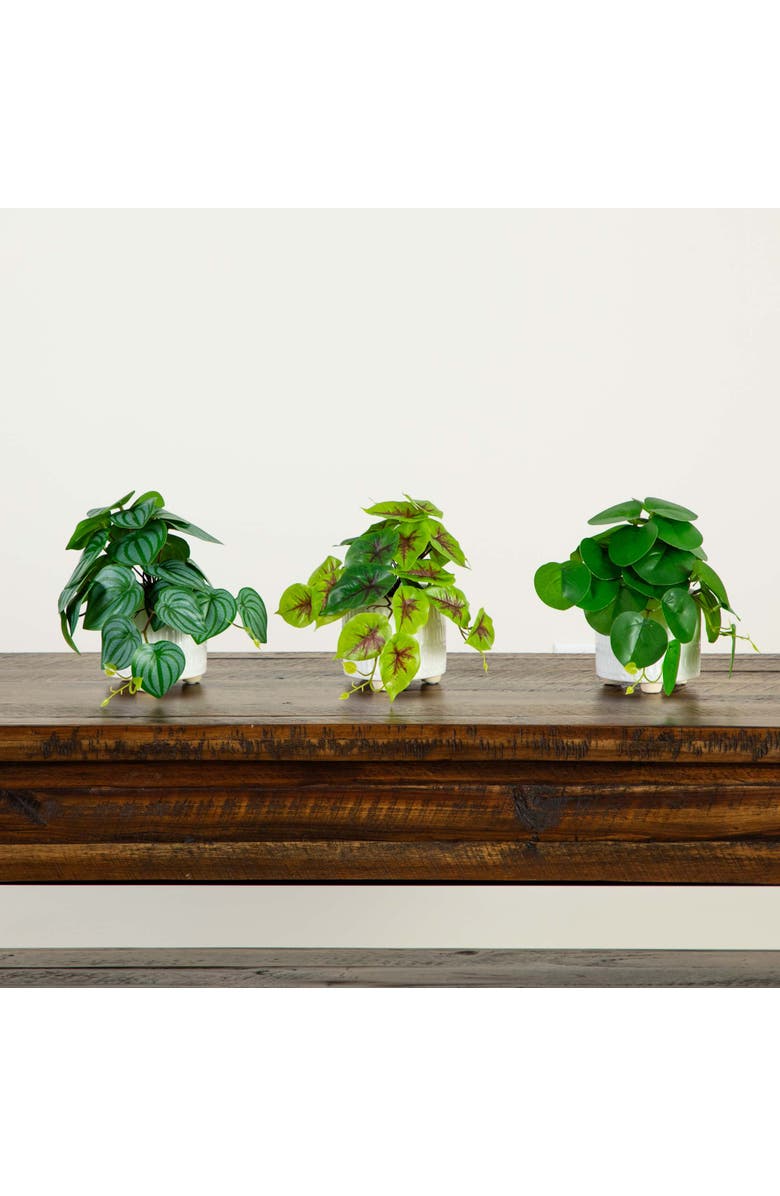 NEARLY NATURAL 8-in Artificial Mixed Greens in Ceramic Planter- Set of 3, Alternate, color, Green