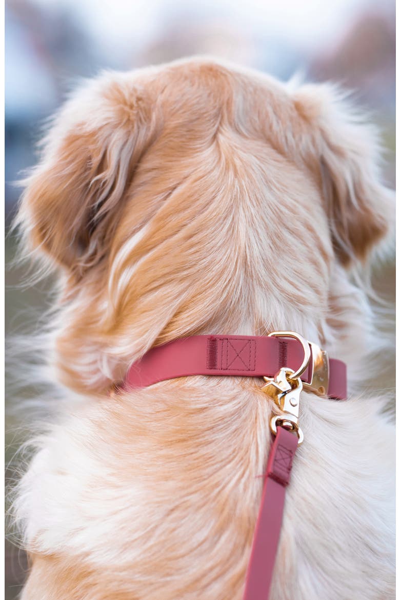 Cloud Waterproof Dog Collar, Alternate, color, MULBERRY BURGUNDY
