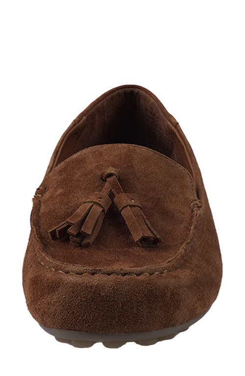 Artisan Crafted By Zigi Patsy Tassel Loafer In Tanse