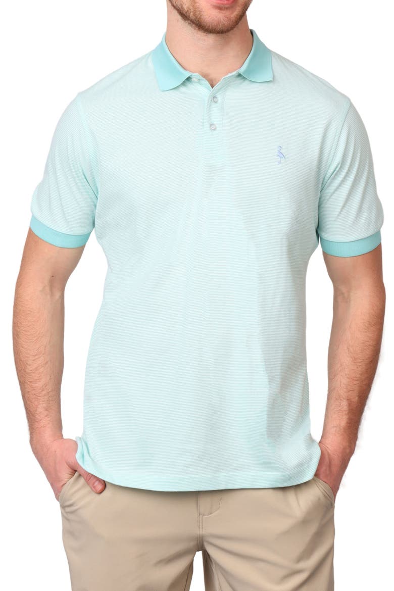 Super Soft Stripe Yarn Dye Polo, Main, color, SPEARMINT