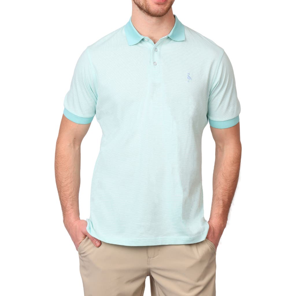 Tailorbyrd Supersoft Stripe Yarn Dye Polo In Spearmint