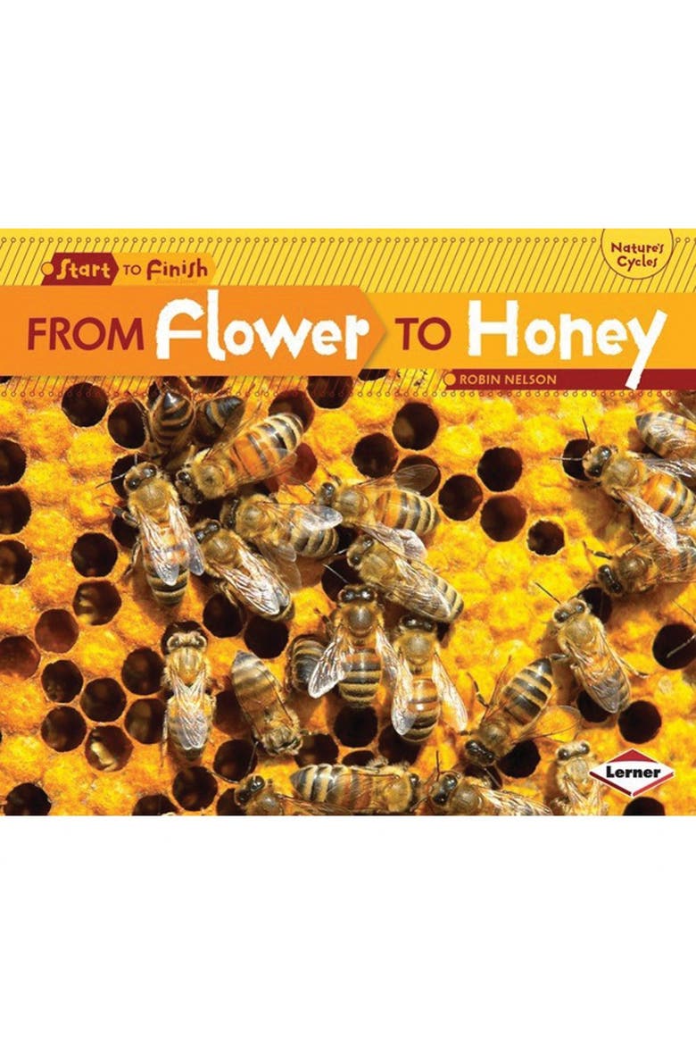 Learn with Me Science Books - Set of 5, Alternate, color, Multicolor