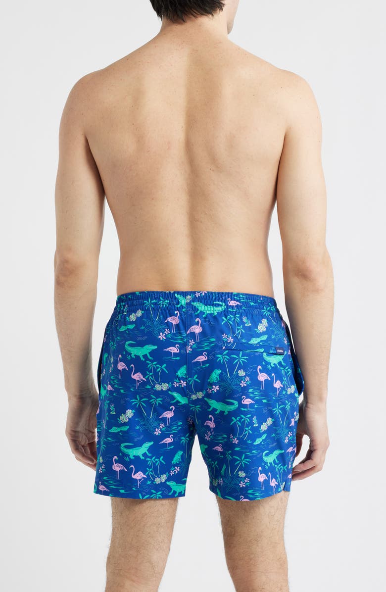 Chubbies The Swamp & Circumstance 5.5-Inch Swim Trunks, Alternate, color, Bright Blue
