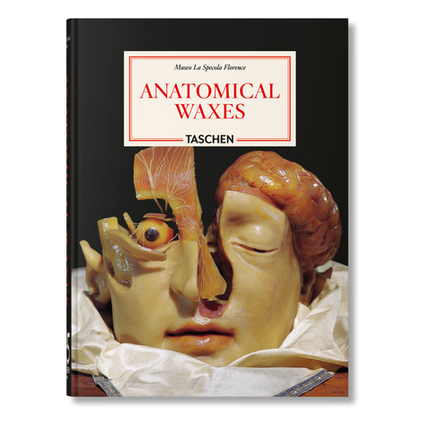 Anatomical Waxes. 45th Ed.