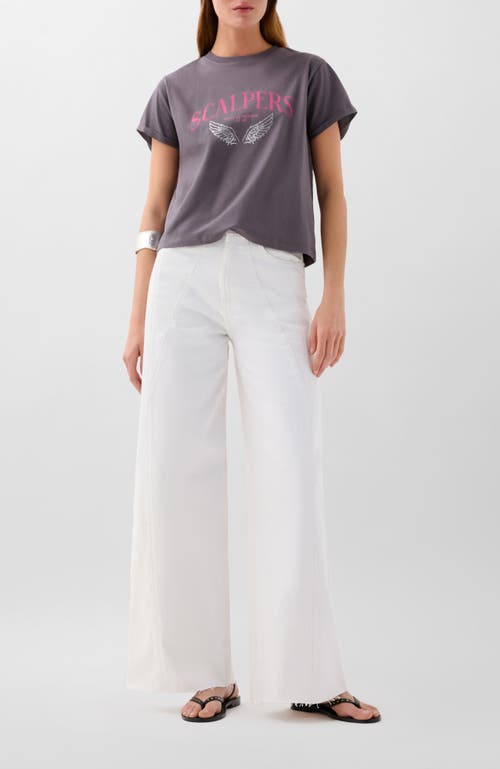 Scalpers Scp Wings Tee In Gray