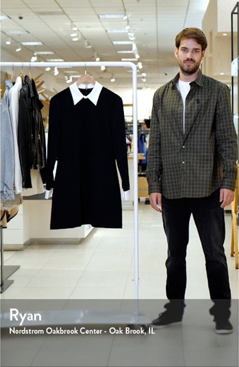 Echo Collared Long Sleeve Shift Dress, sales video thumbnail