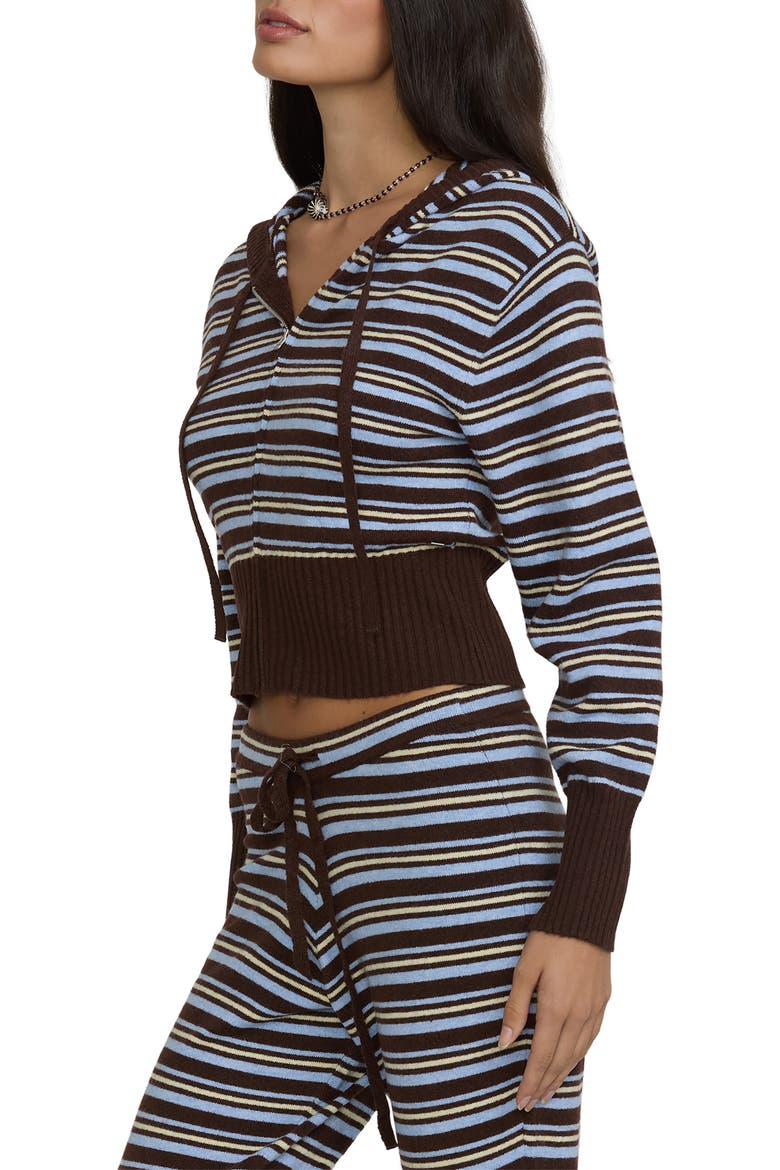 Shore Stripe Hooded Zip Sweater, Alternate, color, TEAK