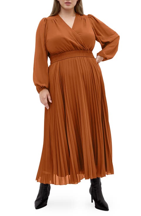 Sheer Finley Long Sleeve Chiffon Dress (Plus)