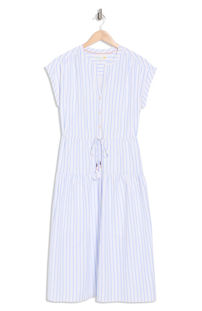 C & C California Blake Button Front Striped Poplin Dress, Alternate, color, Blue/ White Stripe