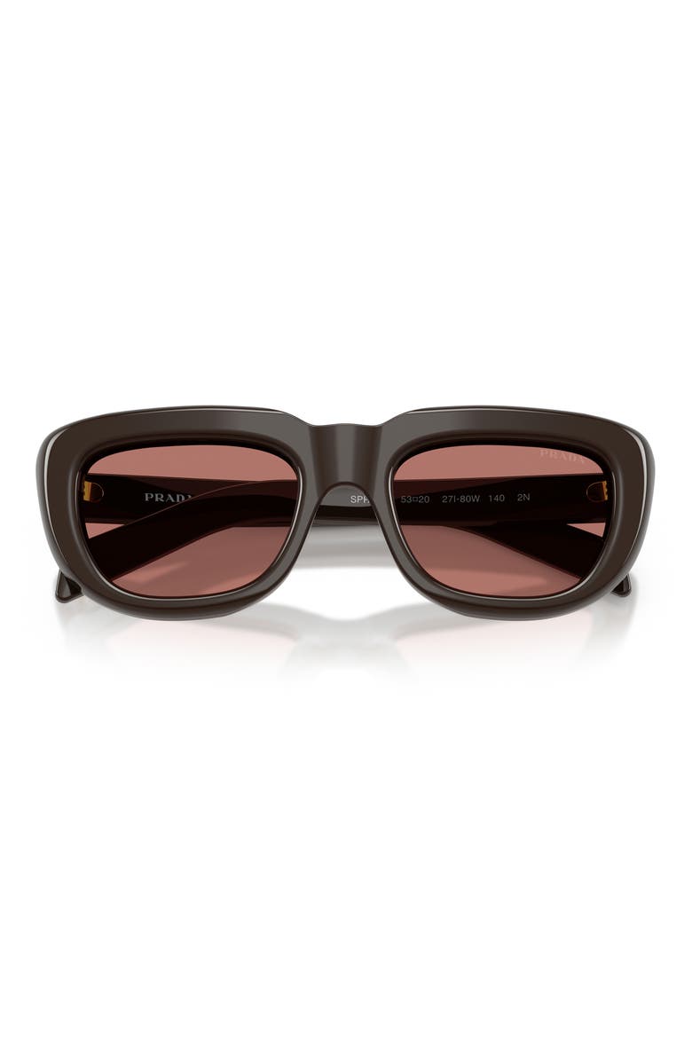 53mm Rectangular Sunglasses, Alternate, color, CIGAR / BORDEAUX