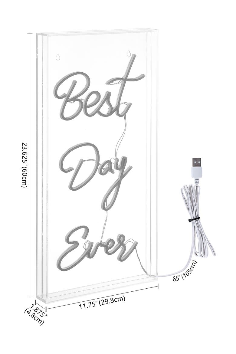 Best Day Ever 11.75" X 23.63" Contemporary Glam Acrylic Box USB Operated LED Neon Light, White, Alternate, color, White