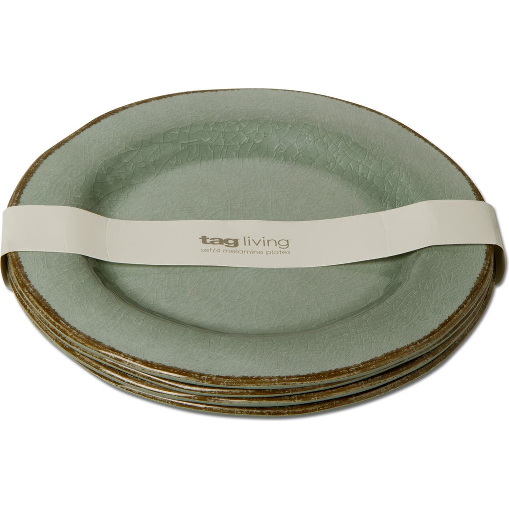 Tag Veranda Melamine Dinner Plates Set Of Four Slate Blue In Green