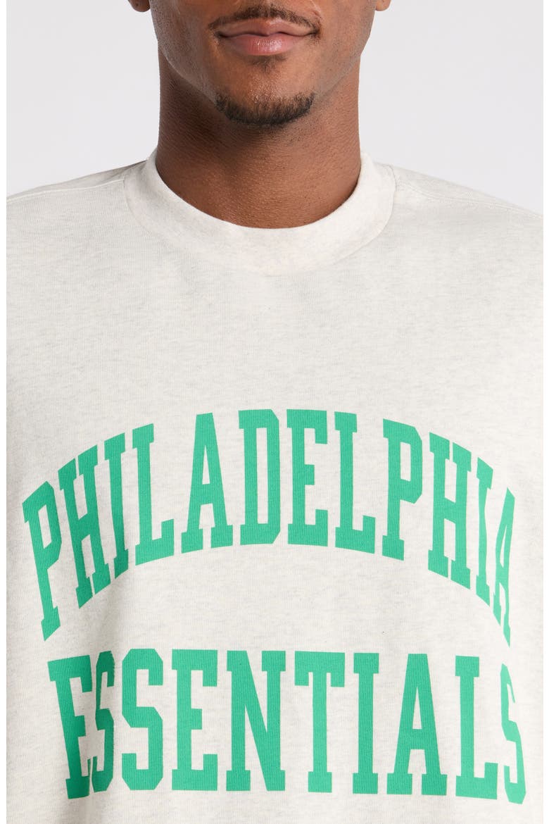 Philadelphia Eagles Merch Oversize Cotton Graphic T-Shirt, Alternate, color, HEATHER STONE