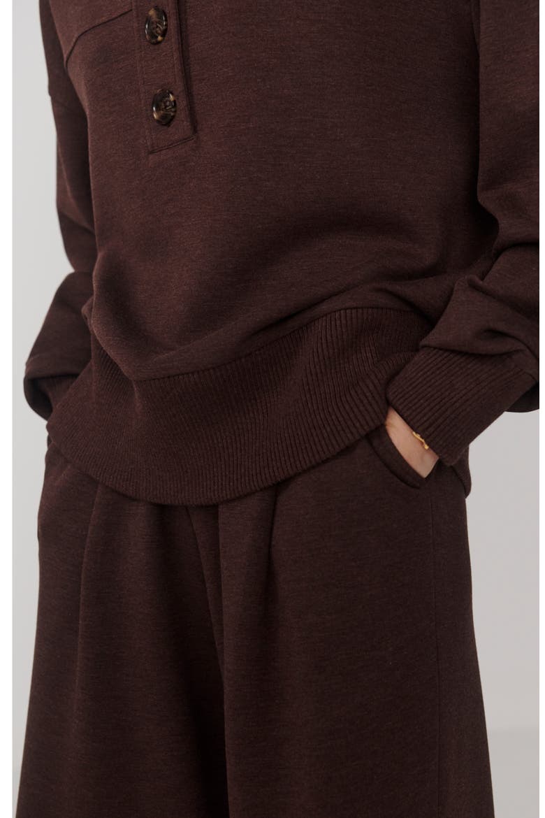 Bronya Button Placket Sweatshirt, Alternate, color, COFFEE BEAN MARL