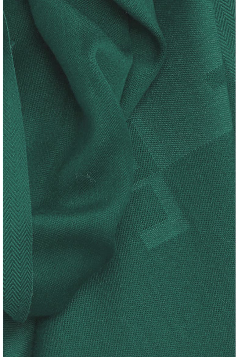 Esteli Logo Long Scarf, Alternate, color, GREEN