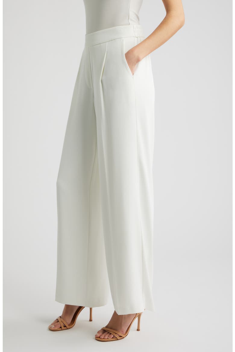 The Clare Pleated Wide Leg Pants, Alternate, color, SKY WHITE