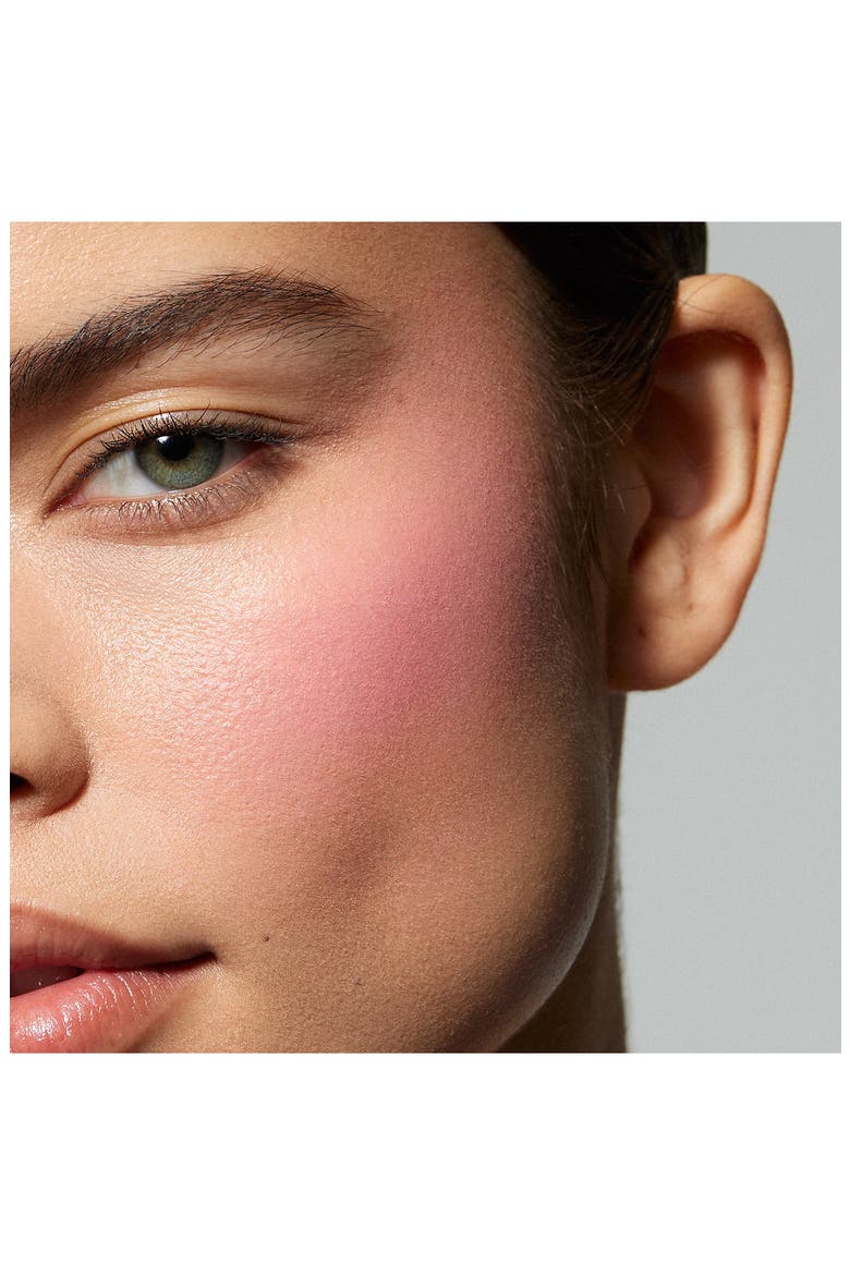 Powder Blush Stick, Alternate, color, 352 BREAKFAST IN BED